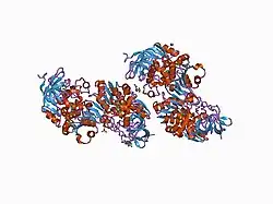 1d1s: WILD-TYPE HUMAN SIGMA (CLASS IV) ALCOHOL DEHYDROGENASE