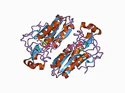 1d6n: TERNARY COMPLEX STRUCTURE OF HUMAN HGPRTASE, PRPP, MG2+, AND THE INHIBITOR HPP REVEALS THE INVOLVEMENT OF THE FLEXIBLE LOOP IN SUBSTRATE BINDING