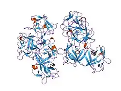 1dfc: CRYSTAL STRUCTURE OF HUMAN FASCIN, AN ACTIN-CROSSLINKING PROTEIN