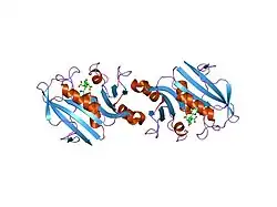 1dhf: CRYSTAL STRUCTURES OF RECOMBINANT HUMAN DIHYDROFOLATE REDUCTASE COMPLEXED WITH FOLATE AND 5-DEAZOFOLATE