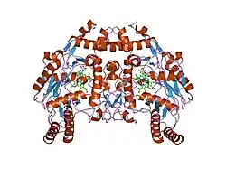 1dm6: BOVINE ENDOTHELIAL NITRIC OXIDE SYNTHASE HEME DOMAIN COMPLEXED WITH N-(4-CHLOROPHENYL)-N'-HYDROXYGUANIDINE (H4B FREE)