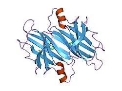 1dvt: CRYSTAL STRUCTURE OF HUMAN TRANSTHYRETIN IN COMPLEX WITH FLURBIPROFEN