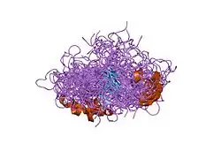 1dz7: SOLUTION STRUCTURE OF THE A-SUBUNIT OF HUMAN CHORIONIC GONADOTROPIN [MODELED WITHOUT CARBOHYDRATE RESIDUES]