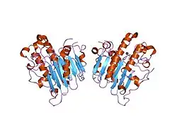 1e9n: A SECOND DIVALENT METAL ION IN THE ACTIVE SITE OF A NEW CRYSTAL FORM OF HUMAN APURINIC/APYRIMIDINIC ENDONUCLEASE, APE1, AND ITS IMPLICATIONS FOR THE CATALYTIC MECHANISM