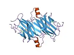 1eta: THE X-RAY CRYSTAL STRUCTURE REFINEMENTS OF NORMAL HUMAN TRANSTHYRETIN AND THE AMYLOIDOGENIC VAL 30-->MET VARIANT TO 1.7 ANGSTROMS RESOLUTION