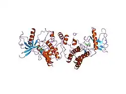 1fgi: CRYSTAL STRUCTURE OF THE TYROSINE KINASE DOMAIN OF FIBROBLAST GROWTH FACTOR RECEPTOR 1 IN COMPLEX WITH SU5402 INHIBITOR