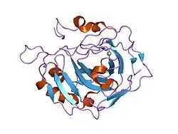 1g3z: CARBONIC ANHYDRASE II (F131V)
