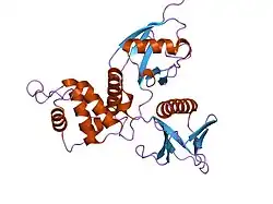 1gc7: CRYSTAL STRUCTURE OF THE RADIXIN FERM DOMAIN