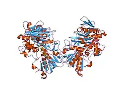 1gv4: MURINE APOPTOSIS-INDUCING FACTOR (AIF)