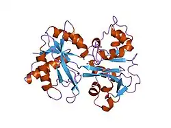1h43: R210E N-TERMINAL LOBE HUMAN LACTOFERRIN