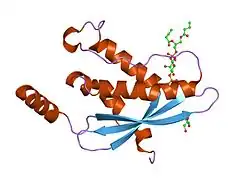 1h6h: STRUCTURE OF THE PX DOMAIN FROM P40PHOX BOUND TO PHOSPHATIDYLINOSITOL 3-PHOSPHATE