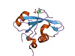 1h9o: PHOSPHATIDYLINOSITOL 3-KINASE, P85-ALPHA SUBUNIT: C-TERMINAL SH2 DOMAIN COMPLEXED WITH A TYR751 PHOSPHOPEPTIDE FROM THE PDGF RECEPTOR, CRYSTAL STRUCTURE AT 1.79 A