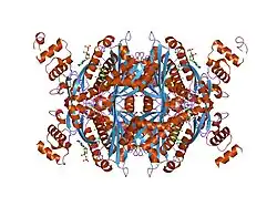 1hwj: COMPLEX OF THE CATALYTIC PORTION OF HUMAN HMG-COA REDUCTASE WITH CERIVASTATIN