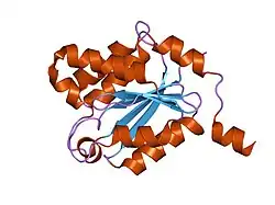 1ihc: X-ray Structure of Gephyrin N-terminal Domain