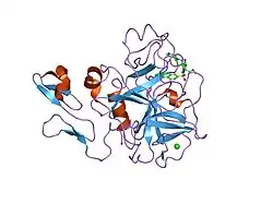 1ioe: Human coagulation factor Xa in complex with M55532