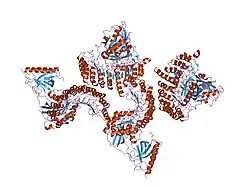 1k5d: Crystal structure of Ran-GPPNHP-RanBP1-RanGAP complex
