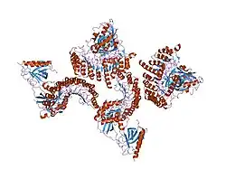 1k5g: Crystal structure of Ran-GDP-AlFx-RanBP1-RanGAP complex