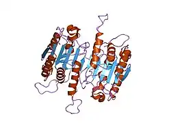 1k88: Crystal structure of procaspase-7