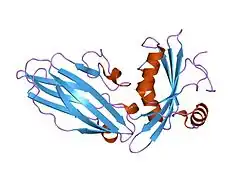 1ky7: THE AP-2 CLATHRIN ADAPTOR ALPHA-APPENDAGE IN COMPLEX WITH AMPHIPHYSIN FXDXF