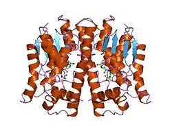 1ljr: GLUTATHIONE TRANSFERASE (HGST T2-2) FROM HUMAN