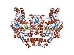 1lzz: Rat neuronal NOS heme domain with N-isopropyl-N'-hydroxyguanidine bound