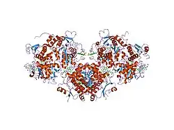 1m54: CYSTATHIONINE-BETA SYNTHASE: REDUCED VICINAL THIOLS