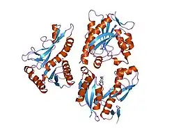 1mej: Human Glycinamide Ribonucleotide Transformylase domain at pH 8.5