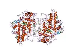 1mhl: CRYSTAL STRUCTURE OF HUMAN MYELOPEROXIDASE ISOFORM C CRYSTALLIZED IN SPACE GROUP P2(1) AT PH 5.5 AND 20 DEG C