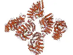 1n4s: Protein Geranylgeranyltransferase type-I Complexed with GGPP and a Geranylgeranylated KKKSKTKCVIL Peptide Product