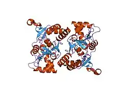 1nnp: X-ray structure of the GluR2 ligand-binding core (S1S2J) in complex with (S)-ATPA at 1.9 A resolution. Crystallization without zinc ions.