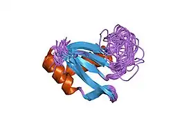 1no8: SOLUTION STRUCTURE OF THE NUCLEAR FACTOR ALY RBD DOMAIN