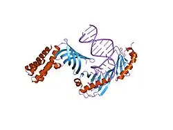 1nvp: HUMAN TFIIA/TBP/DNA COMPLEX
