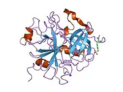 1ny2: Human alpha thrombin inhibited by RPPGF and hirugen