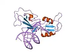 1odh: STRUCTURE OF THE GCM DOMAIN BOUND TO DNA