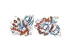 1ogs: HUMAN ACID-BETA-GLUCOSIDASE