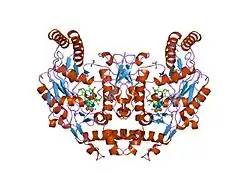 1om4: STRUCTURE OF RAT NEURONAL NOS HEME DOMAIN WITH L-ARGININE BOUND