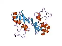 1oqj: Crystal structure of the SAND domain from glucocorticoid modulatory element binding protein-1 (GMEB1)