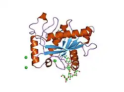 1r55: Crystal structure of the catalytic domain of human ADAM 33