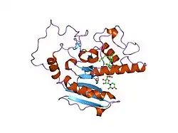 1r80: Glycosyltransferase B in complex with 3-amino-acceptor analog inhibitor and uridine diphosphate