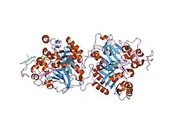 1rg2: Crystal structure of human Tyrosyl-DNA Phosphodiesterase complexed with vanadate, octopamine, and tetranucleotide AGTA