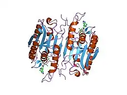 1rhj: CRYSTAL STRUCTURE OF THE COMPLEX OF CASPASE-3 WITH A PRYAZINONE INHIBITOR