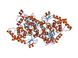 1roz: Deoxyhypusine synthase holoenzyme in its low ionic strength, high pH crystal form