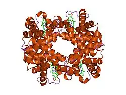 1rq3: Crystallographic Analysis of the Interaction of Nitric Oxide with Quaternary-T Human Deoxyhemoglobin, Deoxyhemoglobin