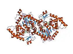 1rqd: deoxyhypusine synthase holoenzyme in its low ionic strength, high pH crystal form with the inhibitor GC7 bound in the active site