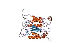 1rwk: Crystal structure of human caspase-1 in complex with 3-(2-mercapto-acetylamino)-4-oxo-pentanoic acid