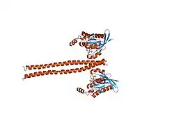 1s1c: Crystal structure of the complex between the human RhoA and Rho-binding domain of human ROCKI