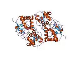 1s7y: Crystal structure of the GluR6 ligand binding core in complex with glutamate at 1.75 A resolution orthorhombic form