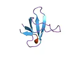 1srl: 1H AND 15N ASSIGNMENTS AND SECONDARY STRUCTURE OF THE SRC SH3 DOMAIN