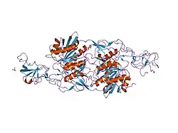1t3e: Structural basis of dynamic glycine receptor clustering