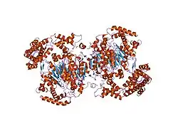 1tt5: Structure of APPBP1-UBA3-Ubc12N26: a unique E1-E2 interaction required for optimal conjugation of the ubiquitin-like protein NEDD8
